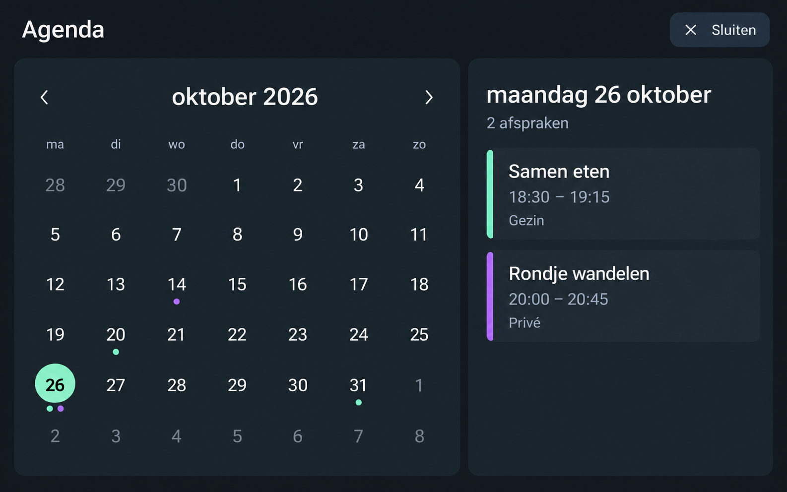 FrameDash calendar showing a monthly overview and appointments from multiple calendars